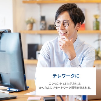 LTE対応SIMフリーホームルーター ピクセラ