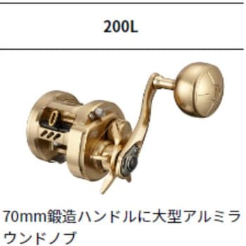 21 バサラ DAIWA(ダイワ)
