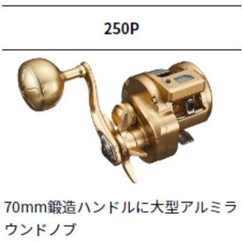 21 バサラ IC DAIWA(ダイワ)