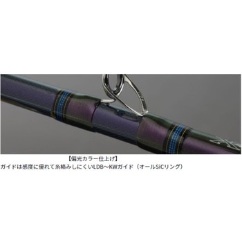 Amazon | ダイワ(DAIWA) 船竿 ディーオ TSG 100-200 釣り竿
