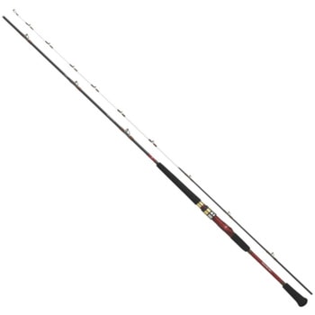 アナリスター 真鯛 DAIWA(ダイワ) ロッド、釣り竿 【通販