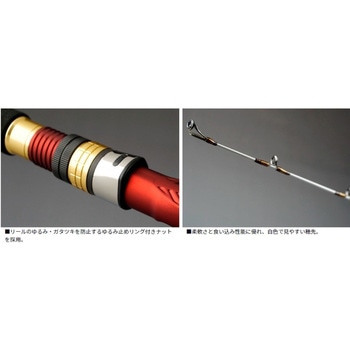 アナリスター 真鯛 DAIWA(ダイワ) ロッド、釣り竿 【通販
