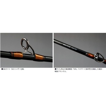 アナリスター 真鯛 DAIWA(ダイワ) ロッド、釣り竿 【通販