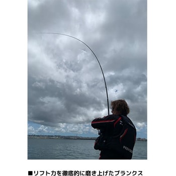 MH-53・W 剛徹 DAIWA(ダイワ) 継数5本 全長5.3m仕舞124cm