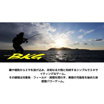 MH-480 バトルゲーム ブッコミゲーム T 1本 DAIWA(ダイワ) 【通販 ...
