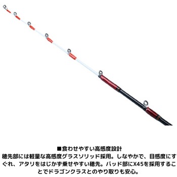 アナリスター タチウオテンヤ DAIWA(ダイワ)