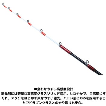 アナリスター タチウオテンヤ DAIWA(ダイワ)