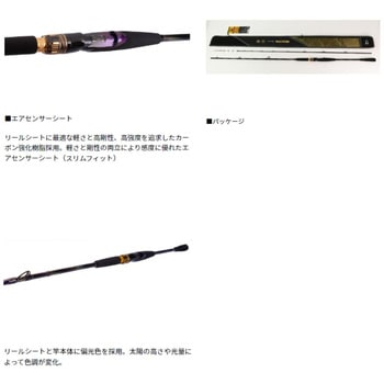 極鋭 ヒラメ EX DAIWA(ダイワ)