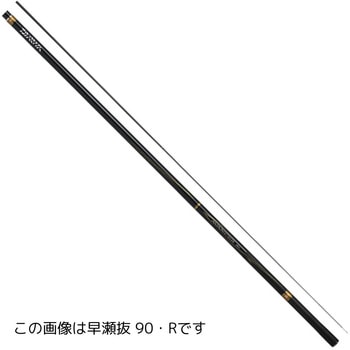 大割引 アバンサー DAIWA(ダイワ) ロッド、釣り竿 【通販モノタロウ】 エッセンシャルオイル
