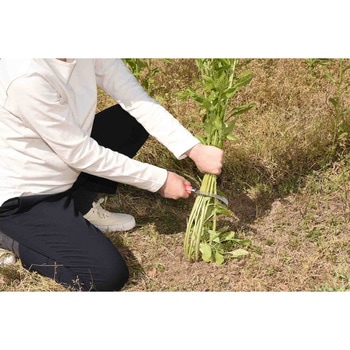 4WAY除草鎌 セーブインダストリー