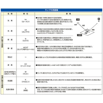 中ナツメ電球 エスコ