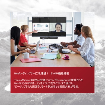 Cynap Pure ヴォルフビジョン