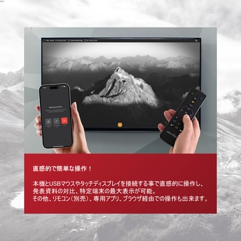 Cynap Pure ヴォルフビジョン