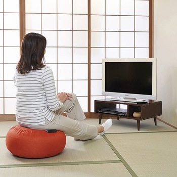 体幹リセットバウンドクッション コジット