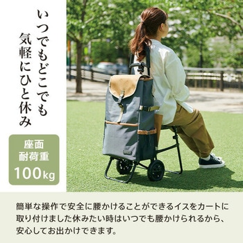 ショッピングカート MORRY(モリー ) 保温 保冷 40L COCORO