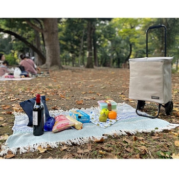 ショッピングカート バッグインバッグ付き 保温 保冷 26L COCORO