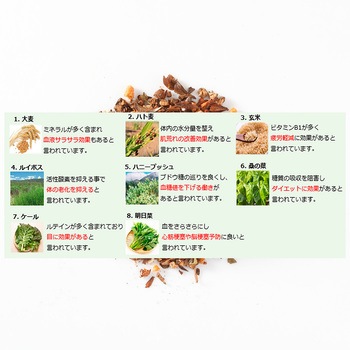共栄製茶 森半 有機健康茶 33袋 共栄製茶