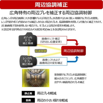 RFレンズ RF10-20mm F4 L IS STM Canon