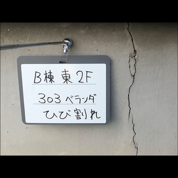 マグボードセット 土牛