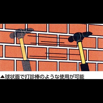 タル検 ショート 土牛