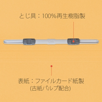 【名入れ】オリジナル フラットファイル (A4 無地デザイン) プラス(文具)