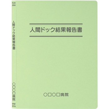 【名入れ】オリジナル フラットファイル (A4 タイトル二重線デザイン) プラス(文具)