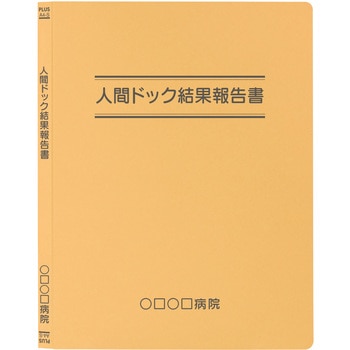 【名入れ】オリジナル フラットファイル (A4 タイトル二重線デザイン) プラス(文具)