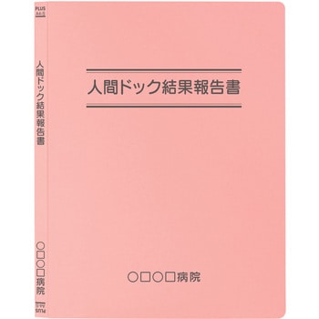 【名入れ】オリジナル フラットファイル (A4 タイトル二重線デザイン) プラス(文具)