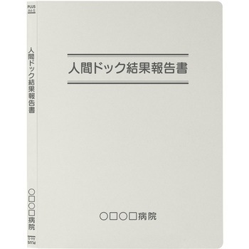 【名入れ】オリジナル フラットファイル (A4 タイトル二重線デザイン) プラス(文具)