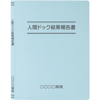 【名入れ】オリジナル フラットファイル (A4 タイトル二重線デザイン) プラス(文具)