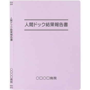 【名入れ】オリジナル フラットファイル (A4 タイトル二重線デザイン) プラス(文具)
