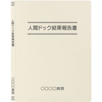 【名入れ】オリジナル フラットファイル (A4 タイトル二重線デザイン) プラス(文具)