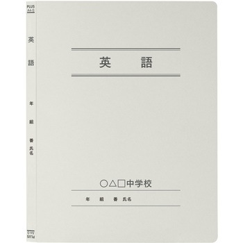 【名入れ】オリジナル フラットファイル (A4 年組番氏名デザイン) プラス(文具)