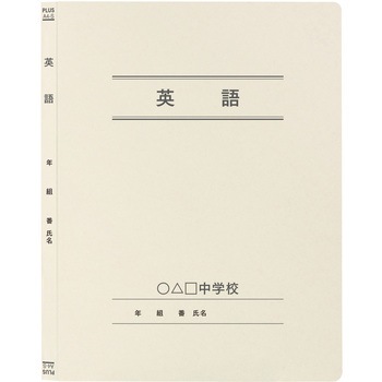 【名入れ】オリジナル フラットファイル (A4 年組番氏名デザイン) プラス(文具)