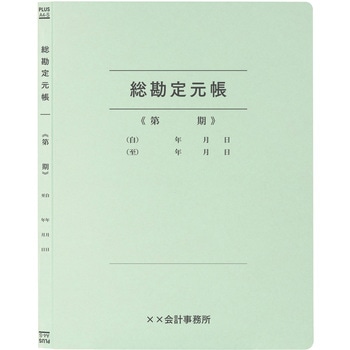 【名入れ】オリジナル フラットファイル (A4 会計用デザイン) プラス(文具)
