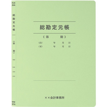 【名入れ】オリジナル フラットファイル (A4 会計用デザイン) プラス(文具)