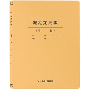 【名入れ】オリジナル フラットファイル (A4 会計用デザイン) プラス(文具)