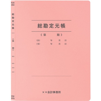 【名入れ】オリジナル フラットファイル (A4 会計用デザイン) プラス(文具)