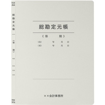 【名入れ】オリジナル フラットファイル (A4 会計用デザイン) プラス(文具)
