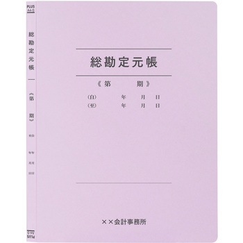 【名入れ】オリジナル フラットファイル (A4 会計用デザイン) プラス(文具)