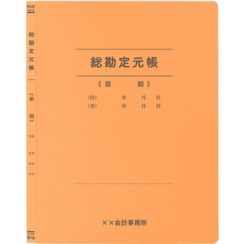 【名入れ】オリジナル フラットファイル (A4 会計用デザイン) プラス(文具)