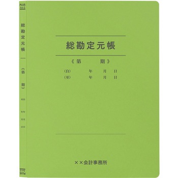 【名入れ】オリジナル フラットファイル (A4 会計用デザイン) プラス(文具)