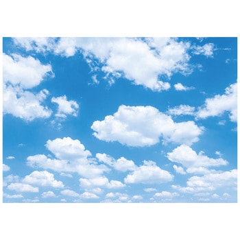 PHO-SH11 �t�H�g�y�[�p�[�V�[�g HEADS(�w�b�Y) 48688308