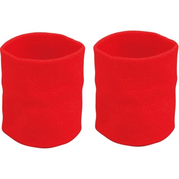 ダンスリストバンド アーテック[学校教材・教育玩具]