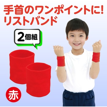 ダンスリストバンド アーテック[学校教材・教育玩具]
