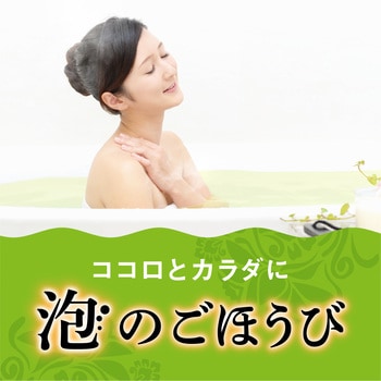 温泡 ONPO 炭酸湯 アース製薬