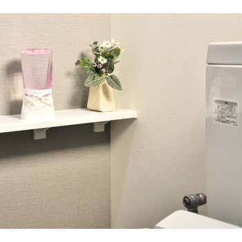 トイレのスッキーリ! Sukki‐ri! アース製薬
