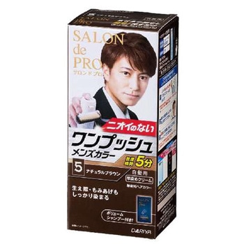 サロン・ド・プロ ワンプッシュクリームヘアカラー メンズスピーディ(白髪用) ダリヤ