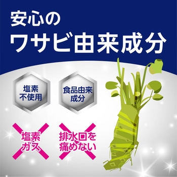 お風呂の排水口用ピンクヌメリ予防 アース製薬