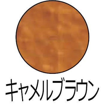 染めQ エアゾール 染めQ(旧テロソン)
